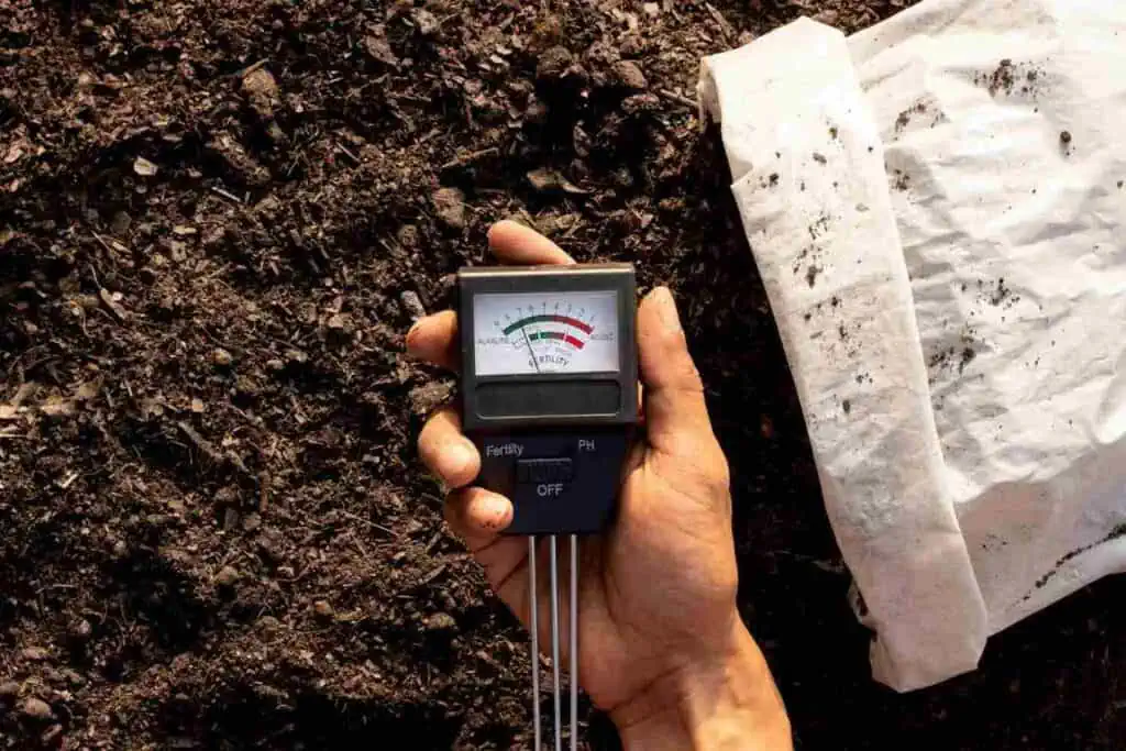 What is the Bearing Capacity of Soil