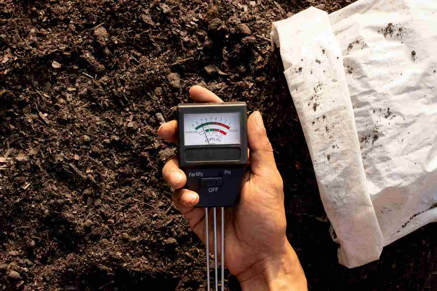 What is the Bearing Capacity of Soil
